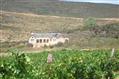 View full details for this Small Holding for sale in McGregor, Boland (Winelands), Western Cape, South Africa - MG1044090
