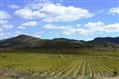 View full details for this Wine / Port Farm  for sale in McGregor, Boland (Winelands), Western Cape, South Africa - MG1128573