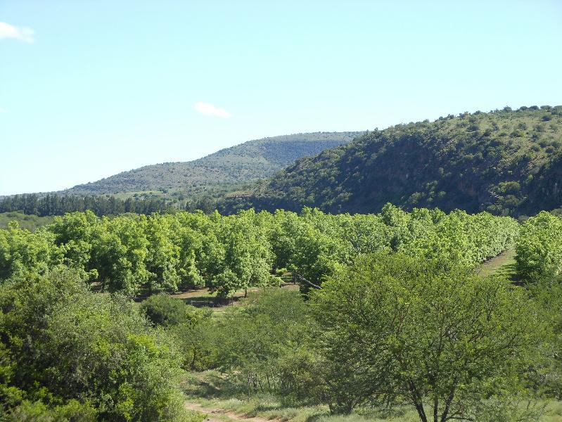 1681 hectare Mixed Use Farm For Sale Adelaide 1GC1123158 Pam