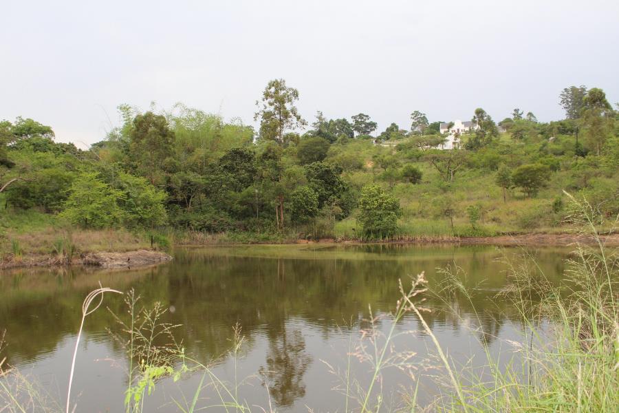 128480 m2 Smallholding For Sale White River 1WR1159069 Pam