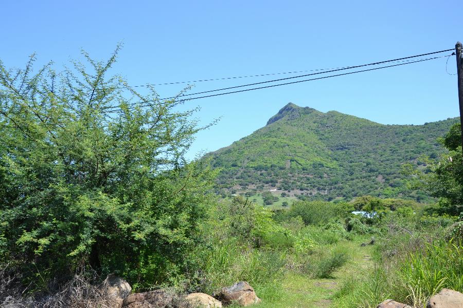 9286 m2 Residential Vacant Land For Sale Black River (Mauritius