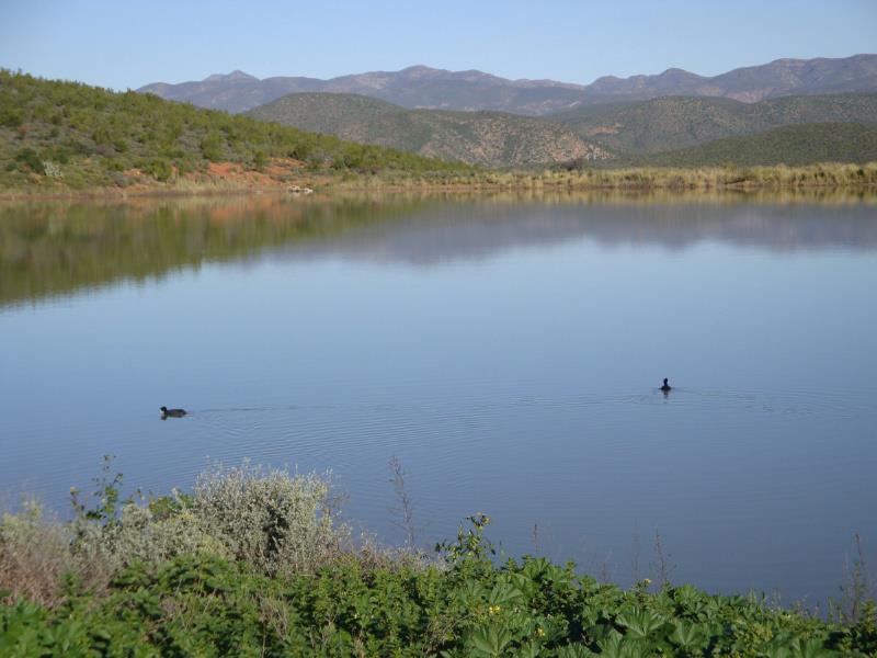 517.7 hectare irrigation farm for sale in De Rust
