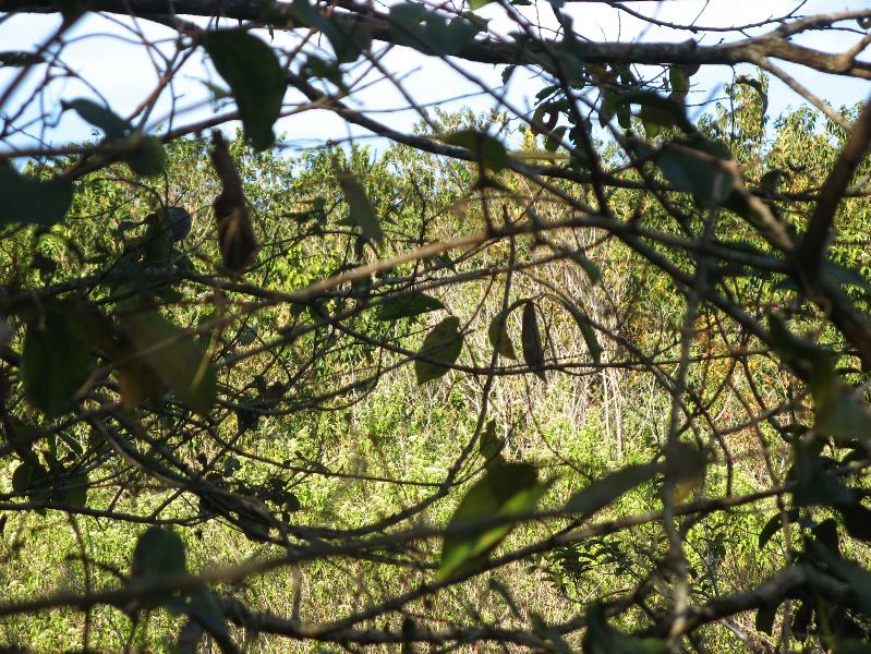 2448 m&sup2; vacant land for sale in Southbroom
