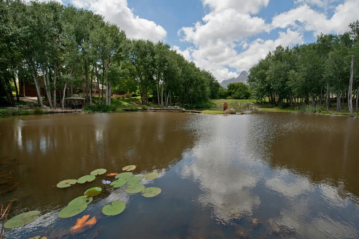 5.16 hectare lifestyle property for sale in Stellenbosch Farms