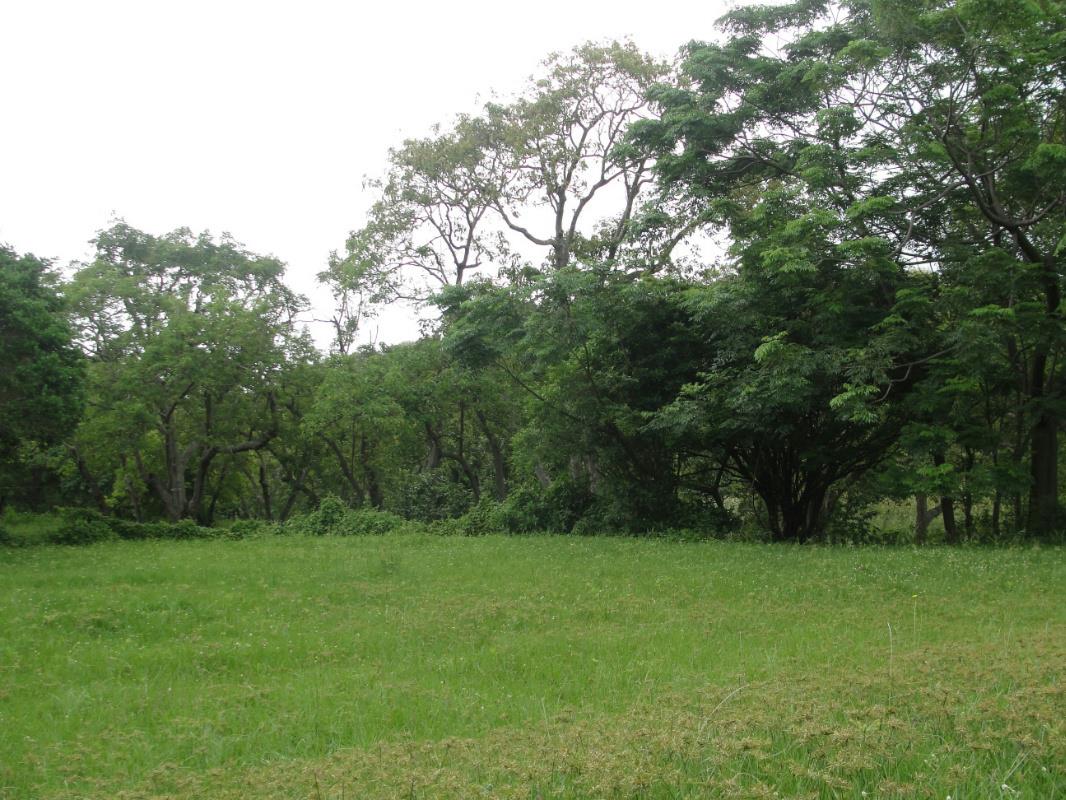 14809 m&sup2; residential vacant land for sale in Shelly Beach