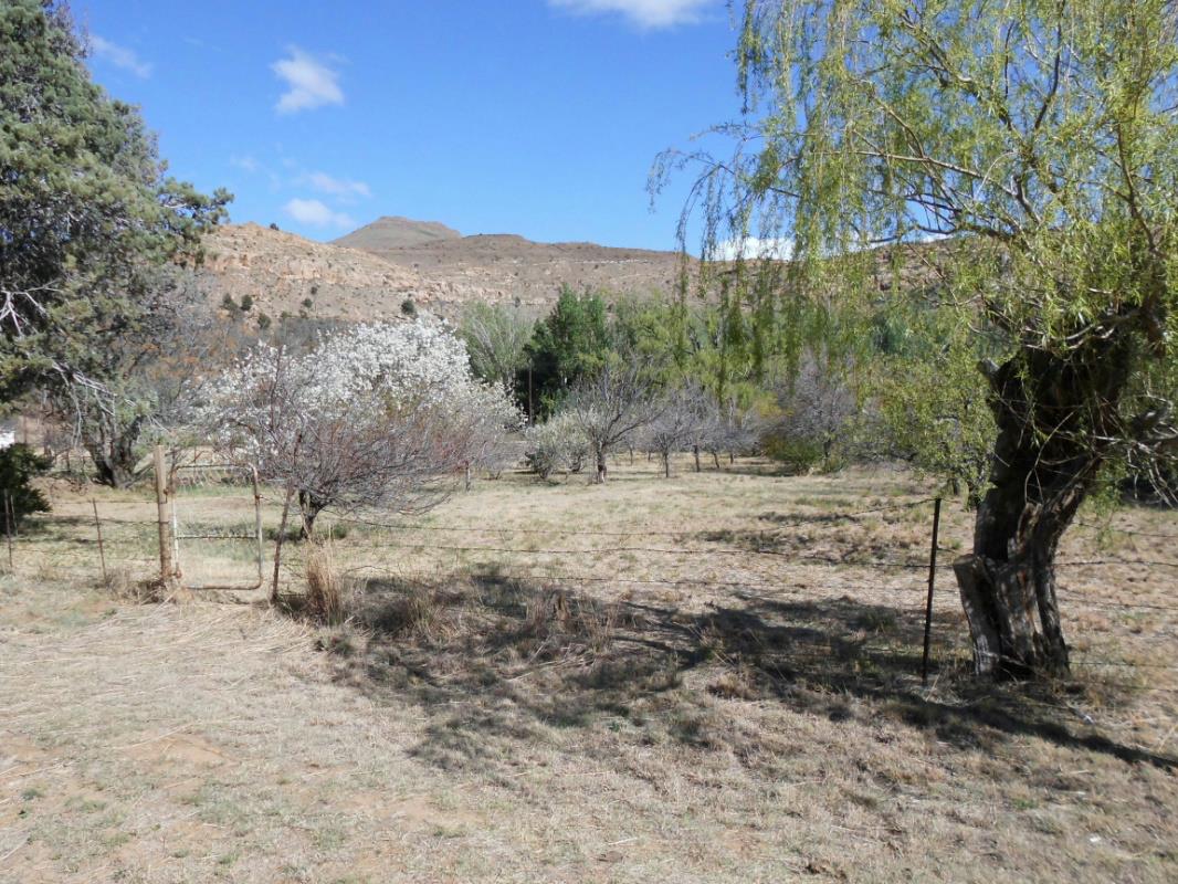 1881 m2 Vacant Land For Sale Lady Grey 1KK1235639 Pam Golding