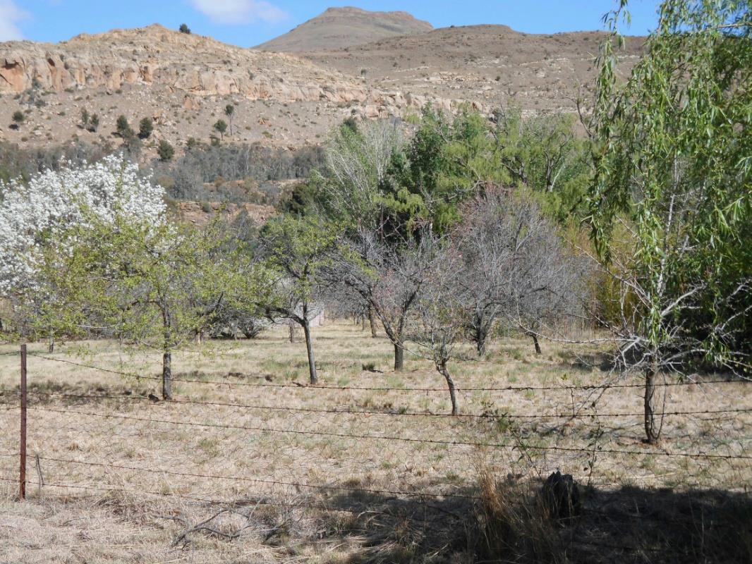 1881 m2 Vacant Land For Sale Lady Grey 1KK1235639 Pam Golding