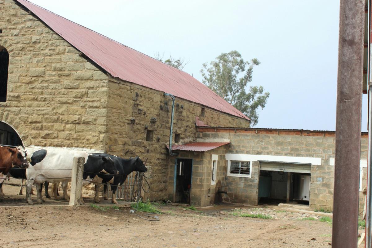 404.69 hectare Mixed Use Farm For Sale Winterton (KwaZuluNatal