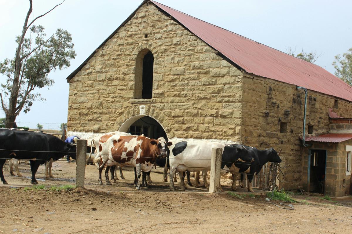 404.69 hectare Mixed Use Farm For Sale Winterton (KwaZuluNatal