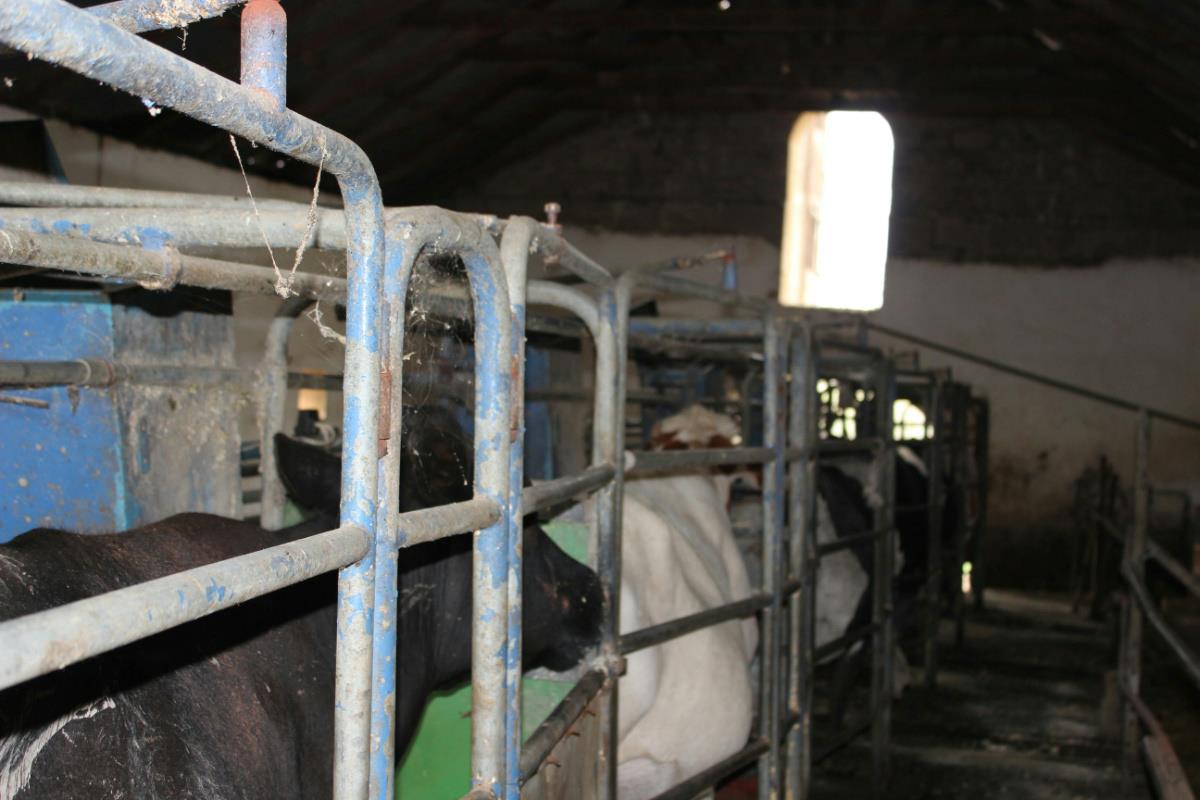 404.69 hectare Mixed Use Farm For Sale Winterton (KwaZuluNatal