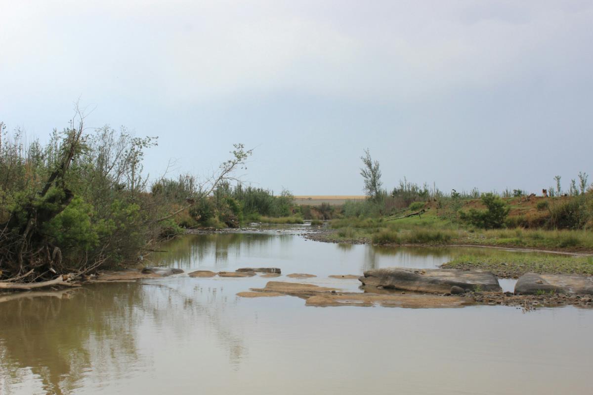 404.69 hectare Mixed Use Farm For Sale Winterton (KwaZuluNatal