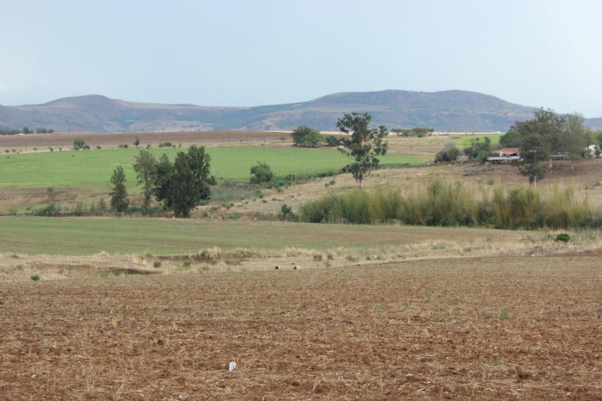 404.69 hectare Mixed Use Farm For Sale Winterton (KwaZuluNatal) 1PM1286998 Pam Golding