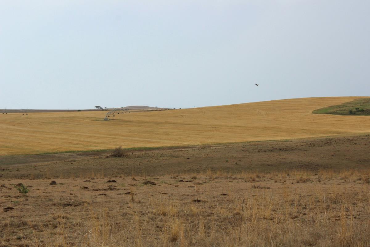404.69 hectare Mixed Use Farm For Sale Winterton (KwaZuluNatal) 1PM1286998 Pam Golding