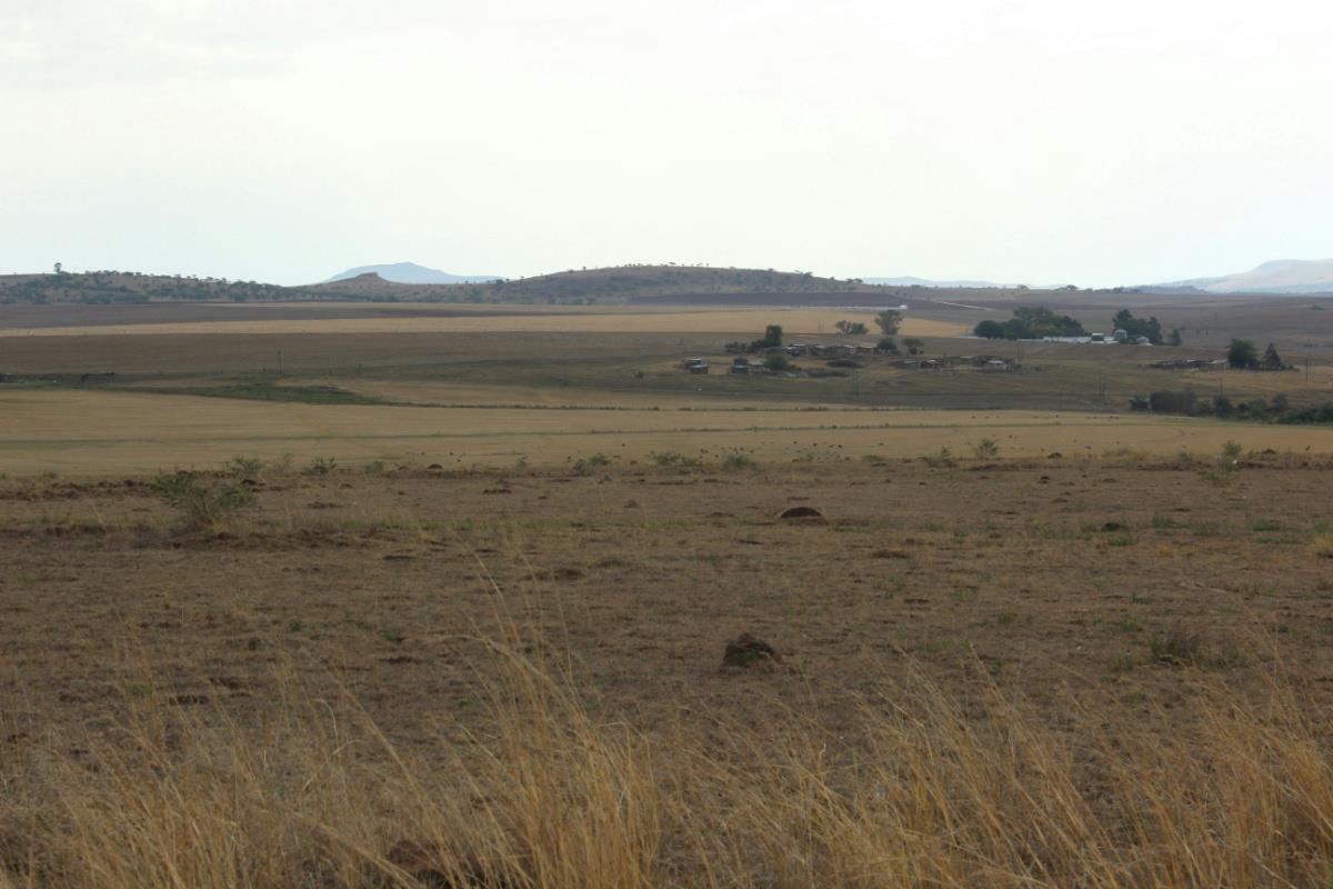 404.69 hectare Mixed Use Farm For Sale Winterton (KwaZuluNatal) 1PM1286998 Pam Golding