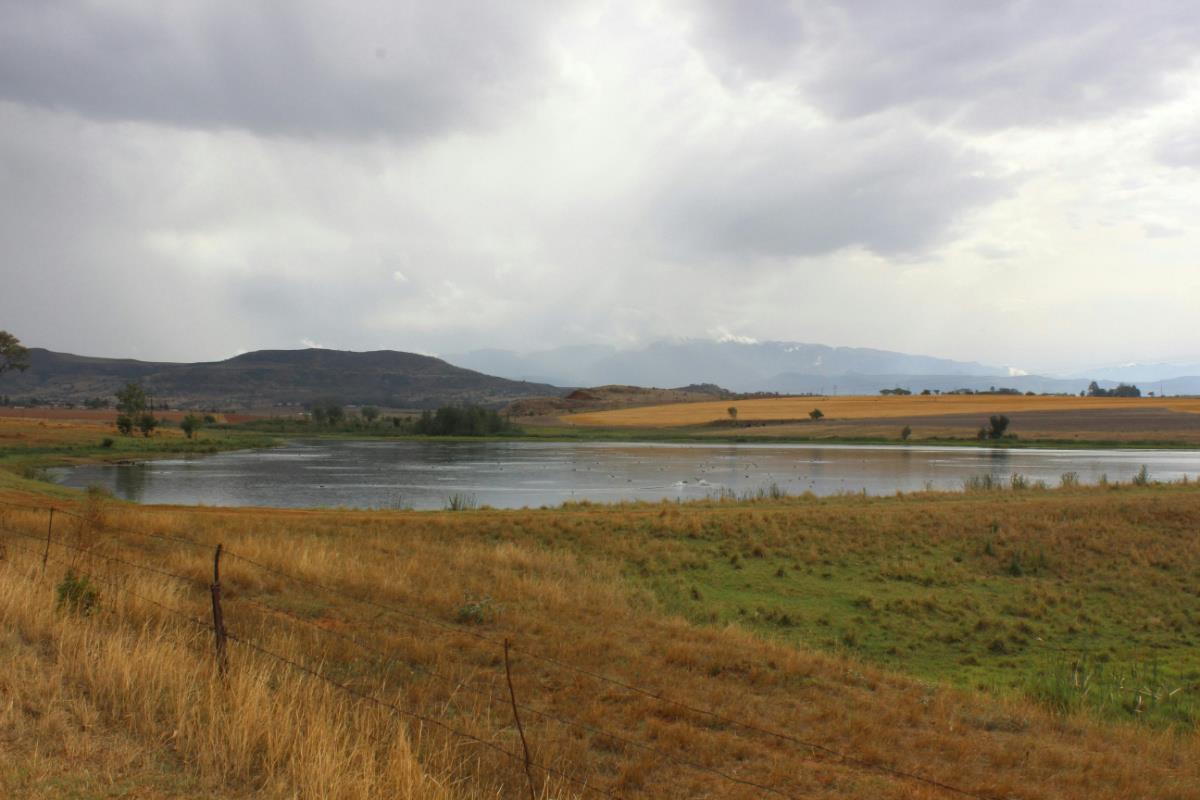 404.69 hectare Mixed Use Farm For Sale Winterton (KwaZuluNatal) 1PM1286998 Pam Golding