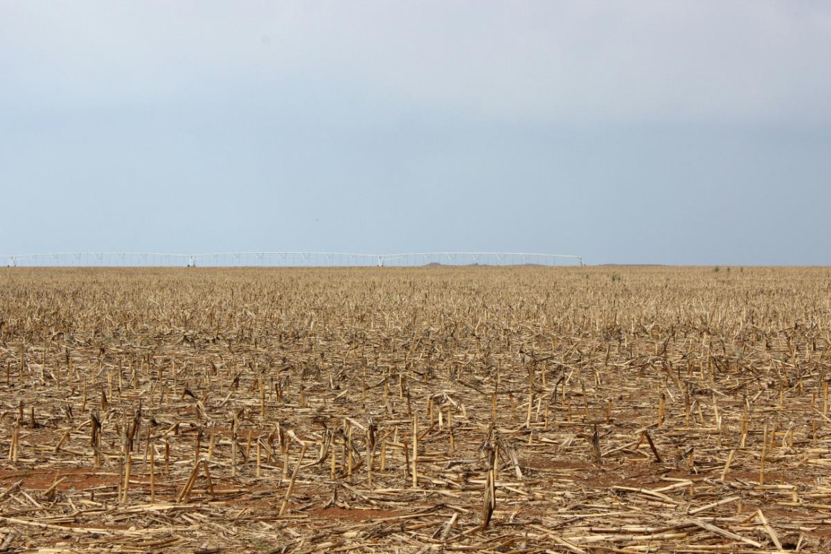 404.69 hectare Mixed Use Farm For Sale Winterton (KwaZuluNatal