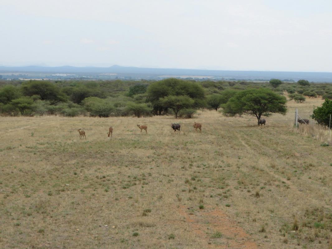 395 hectare game farm for sale in Brits