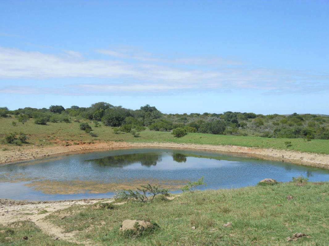 554 hectare Mixed Use Farm For Sale Alexandria 1GC1261673 Pam