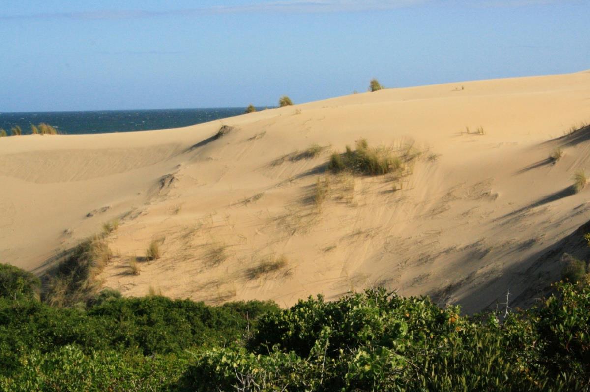 3853 m2 Vacant Land For Sale Nautilus Bay 1MB1262756 Pam Golding Properties