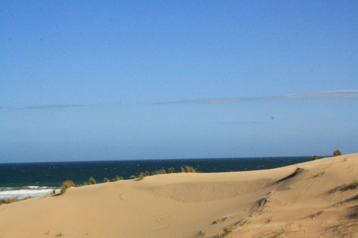 3901 m2 Vacant Land For Sale Nautilus Bay 1MB1262750 Pam Golding Properties