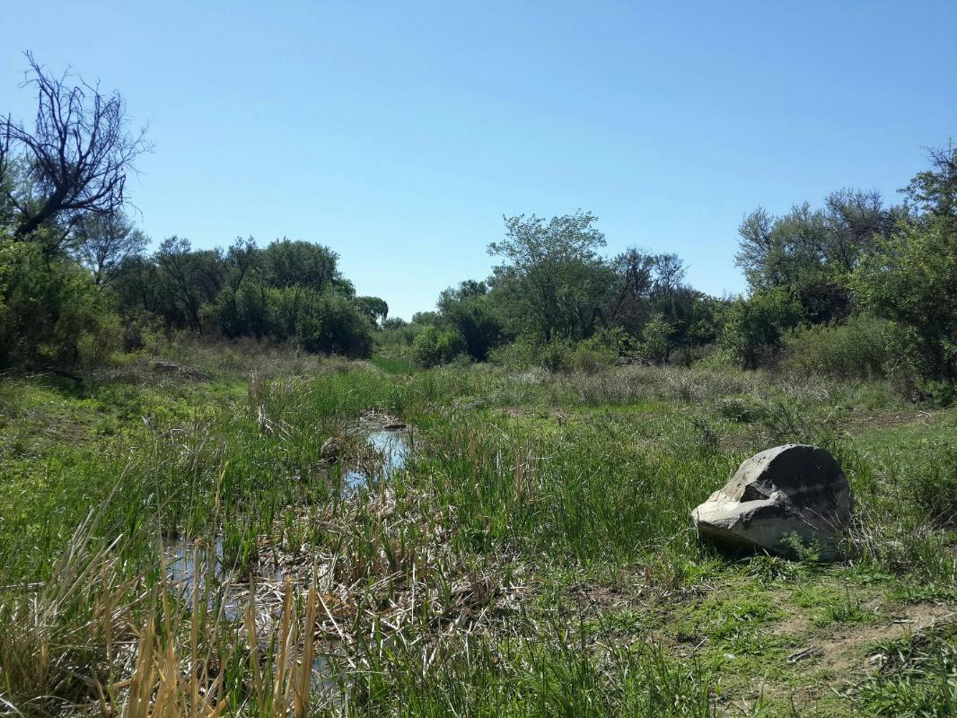 2630 hectare Game Farm For Sale Vanderkloof 1KK1592026 Pam