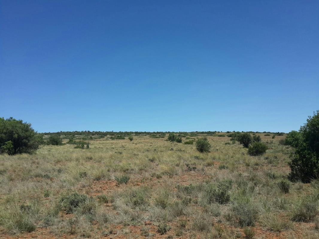 2630 hectare Game Farm For Sale Vanderkloof 1KK1592026 Pam