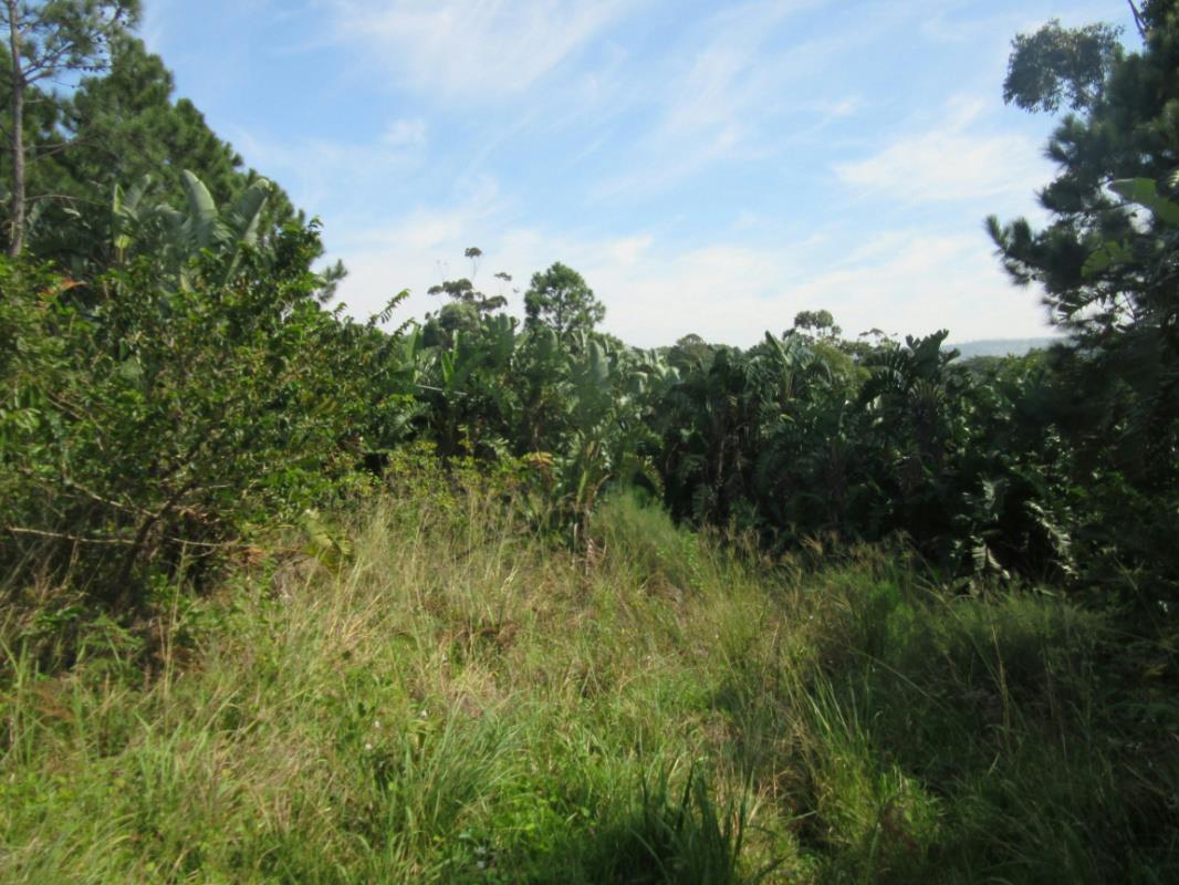 1408 m&sup2; vacant land for sale in Leisure Bay