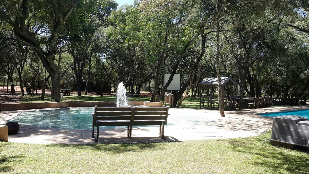 24 hectare Game Farm For Sale Bela Bela 1MM1264887 Pam Golding