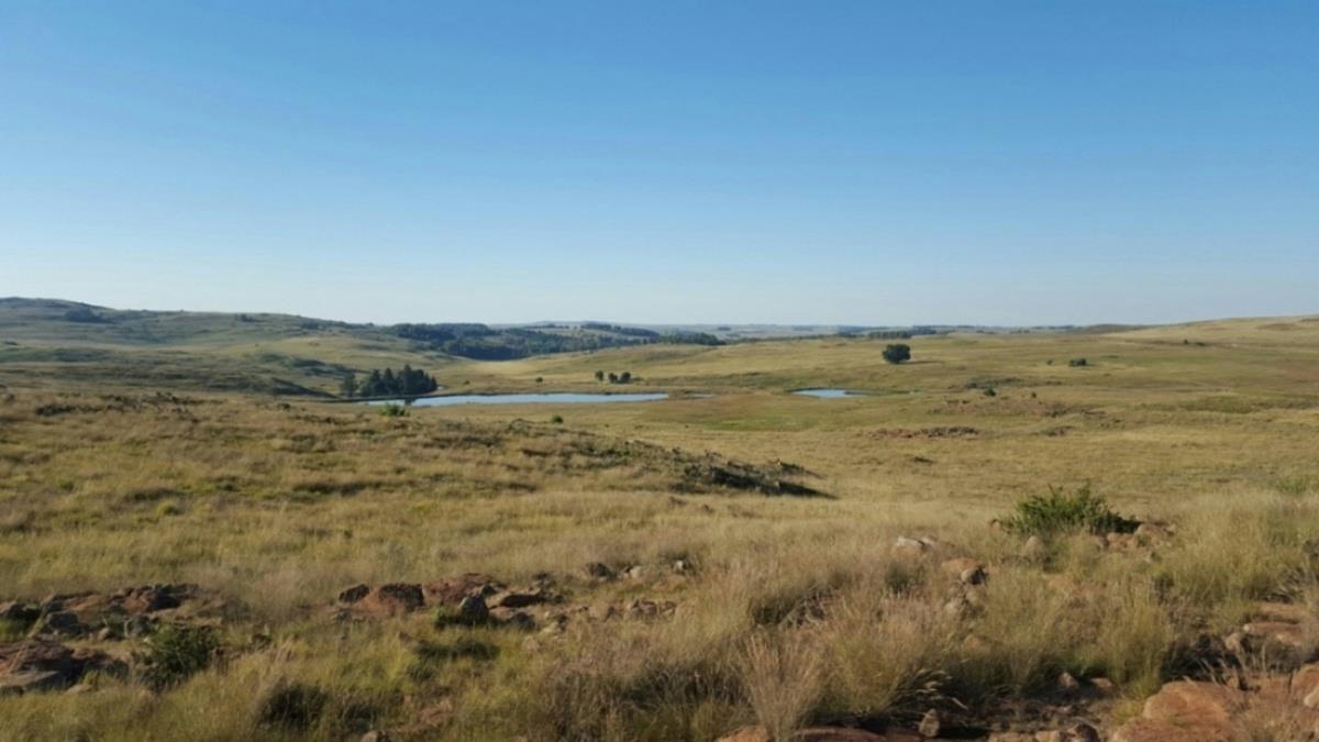 42.8 hectare Mixed Use Farm For Sale | Dullstroom | 1DS1595507 | Pam ...