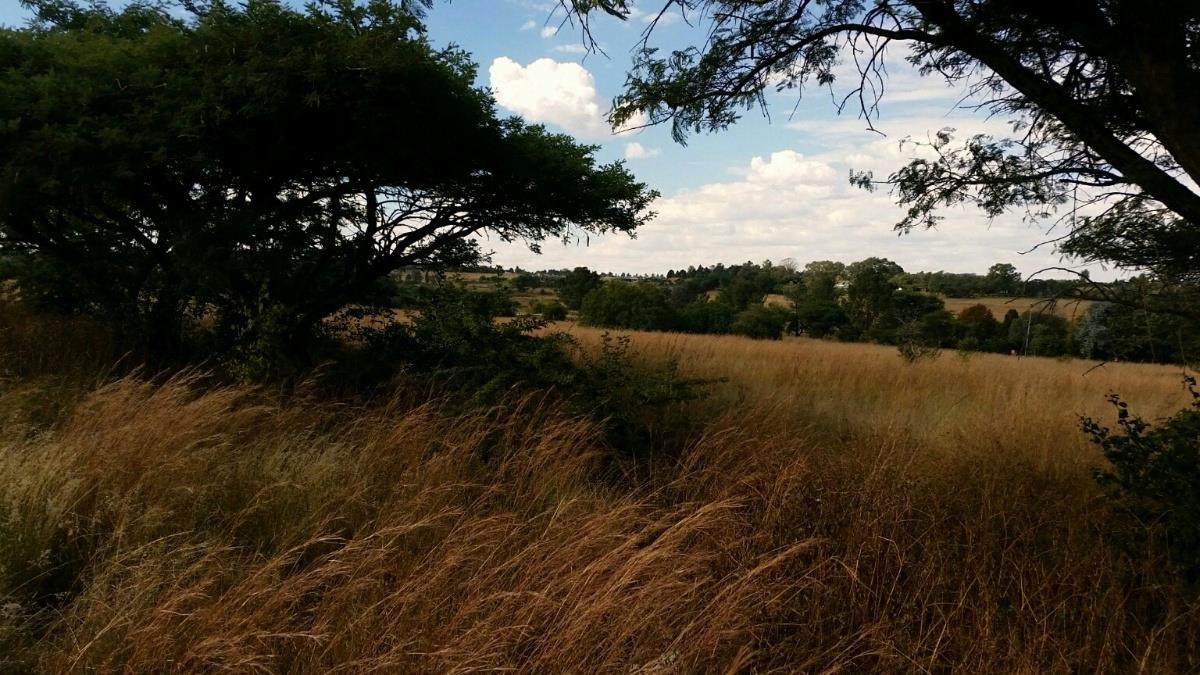 42829 m2 Residential Vacant Land For Sale Sun Valley (Midrand