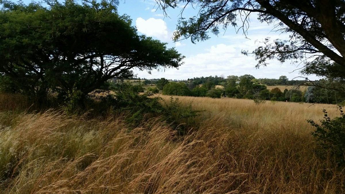 42829 m2 Residential Vacant Land For Sale Sun Valley (Midrand