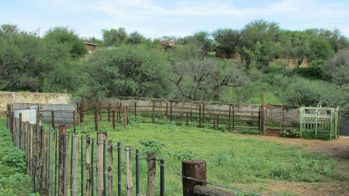 8913 hectare Livestock Farm For Sale Windhoek (Namibia) 3NM1306345