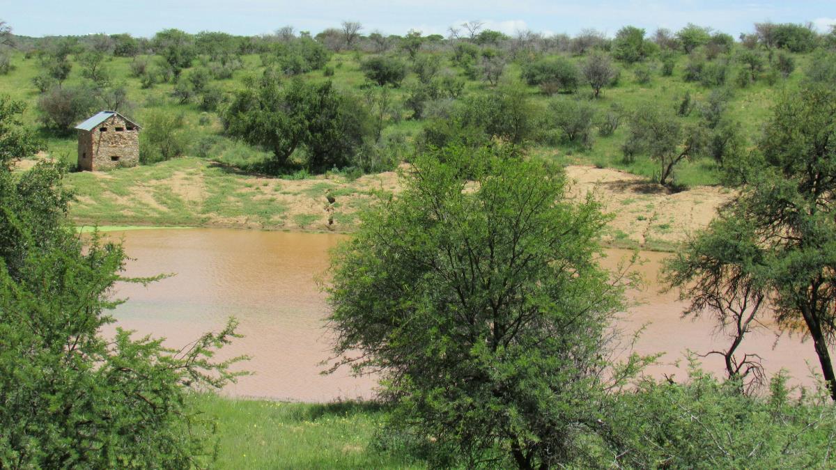 4000 hectare Livestock Farm For Sale Windhoek (Namibia) 3NM1561831
