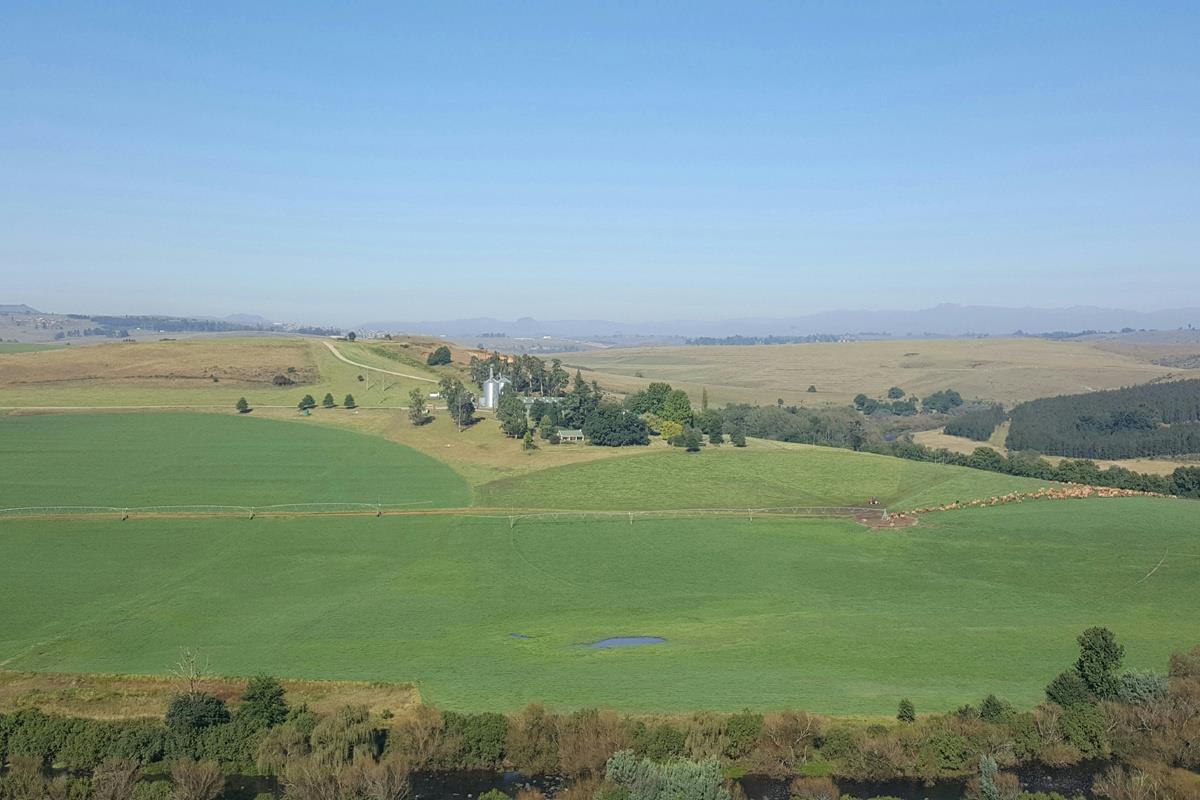 22.2 hectare Smallholding For Sale Mooi River 1PM1315717 Pam