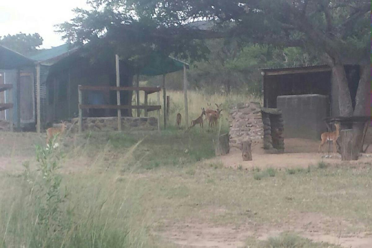 12614861 m2 Game Farm For Sale Pongola 1RI1320506 Pam Golding