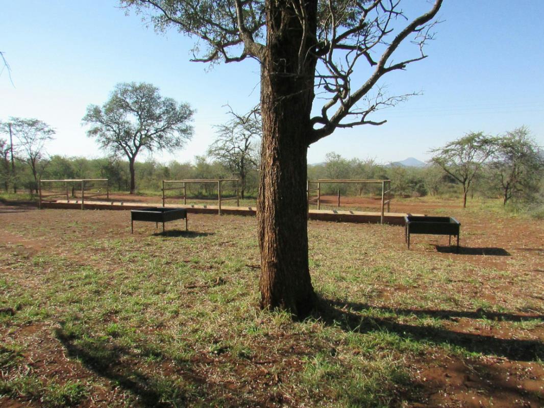 1209398 m2 Game Farm For Sale Tzaneen (Limpopo Province) 1TA1323311