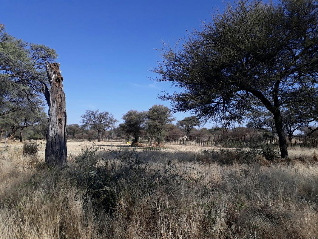 1500 m&sup2; residential vacant land for sale in Okahandja (Namibia)