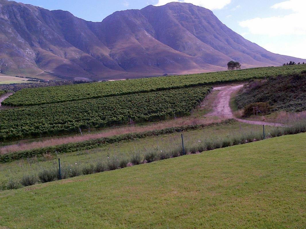 60 hectare Wine Farm For Sale HemelenAarde Valley ST1335326 Pam