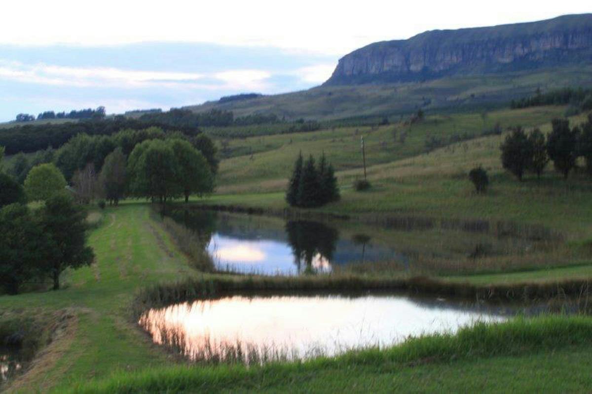 2000 m2 Farm Vacant Land For Sale Mooi River 1PM1138071 Pam