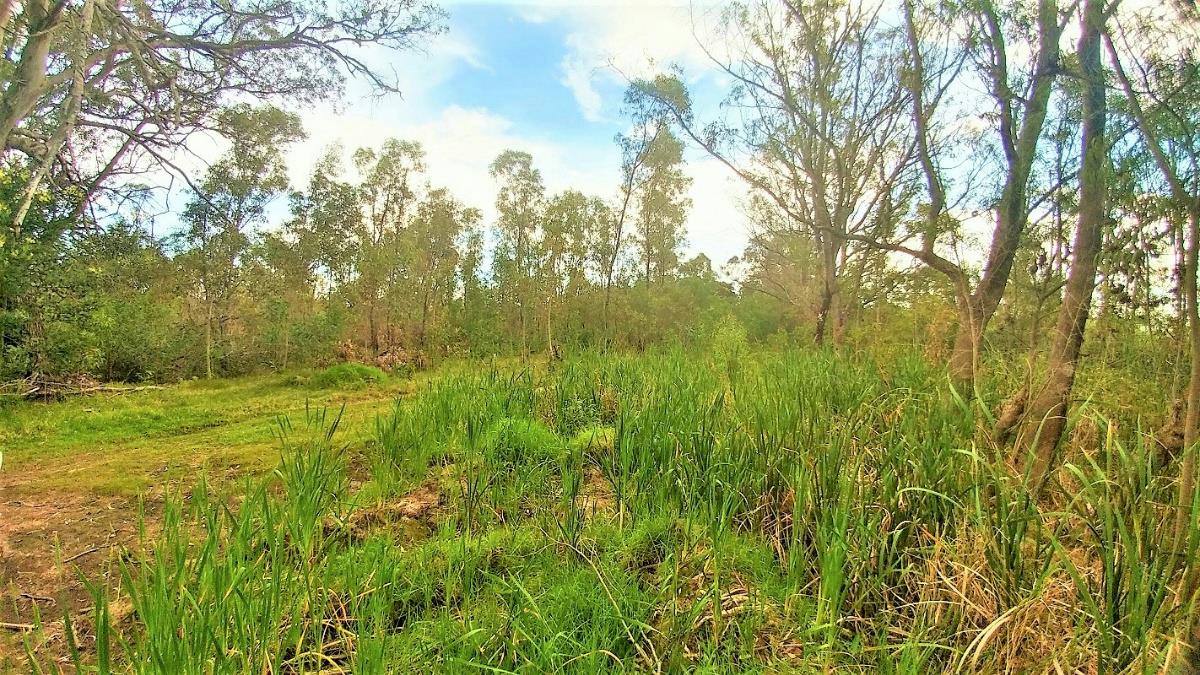 4.28 hectare vacant land for sale in Greenbushes