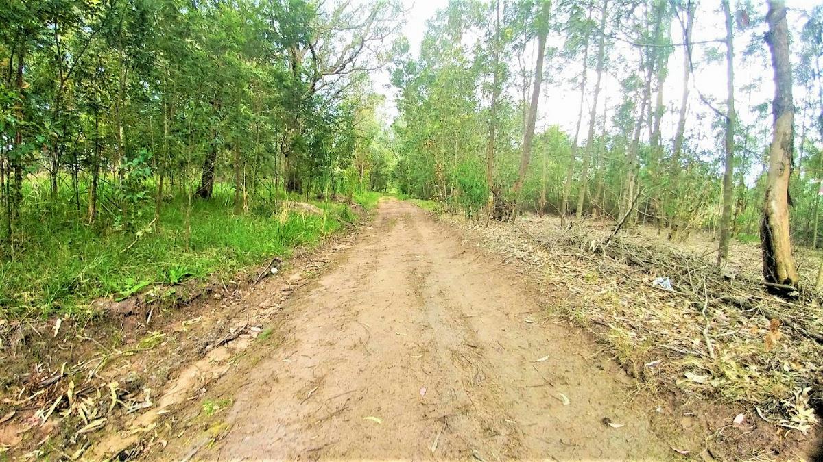 4.28 hectare Vacant Land For Sale Greenbushes 1PLZ1346693 Pam