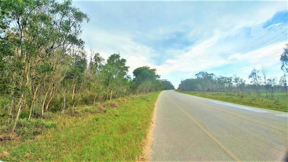 4.28 hectare Vacant Land For Sale Greenbushes 1PLZ1346693 Pam