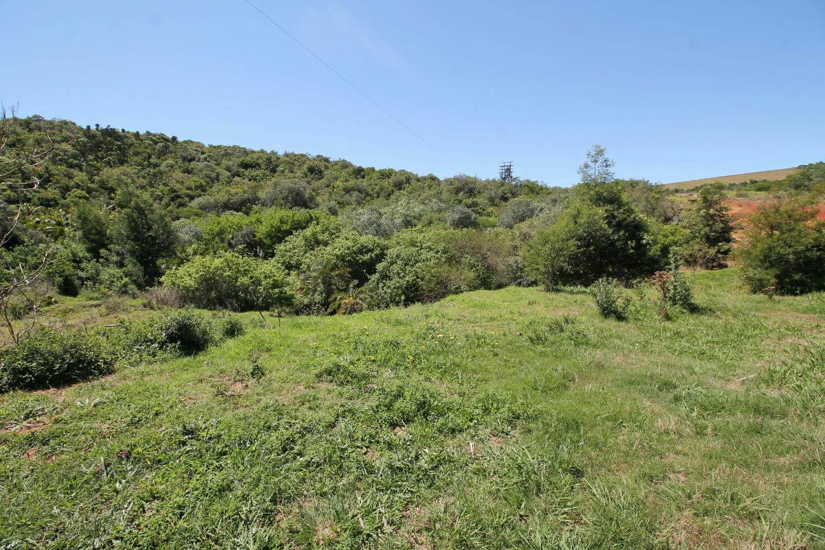 82 hectare Livestock Farm For Sale Port Alfred 1PF1350270 Pam