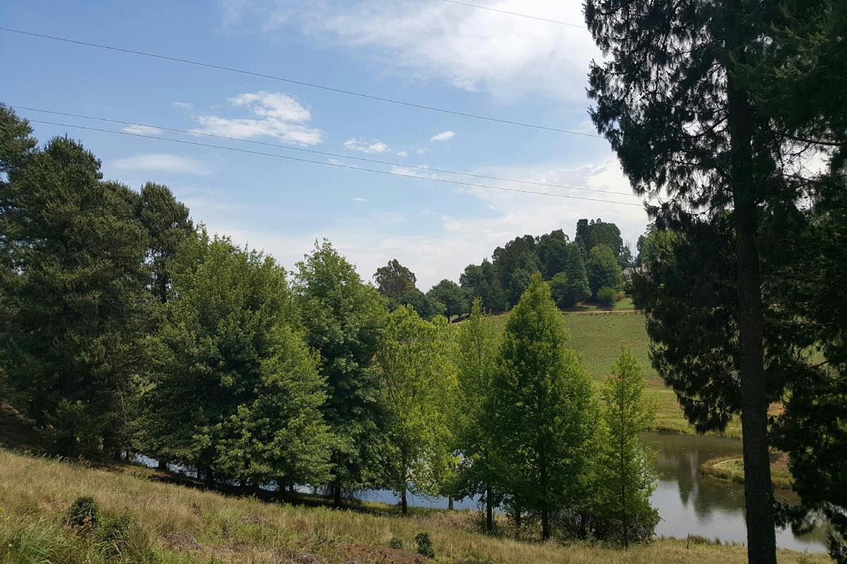 3161 m&sup2; vacant land for sale in Mount West