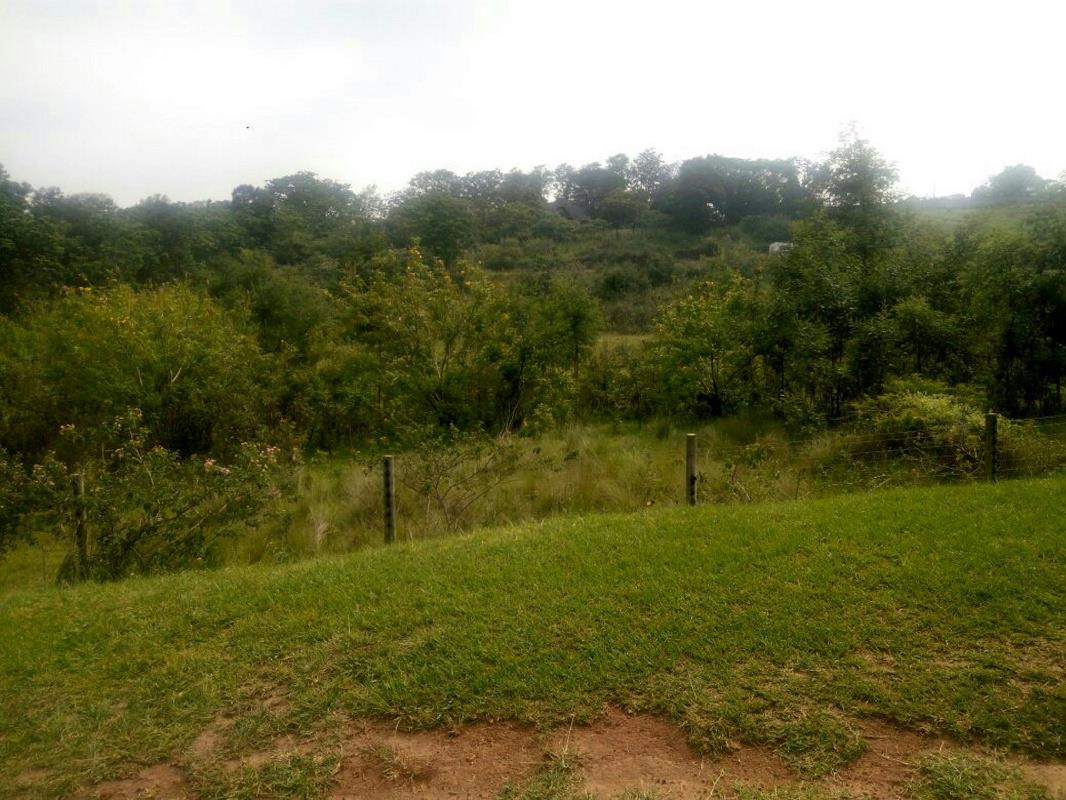 11167 m&sup2; residential vacant land for sale in Crestholme