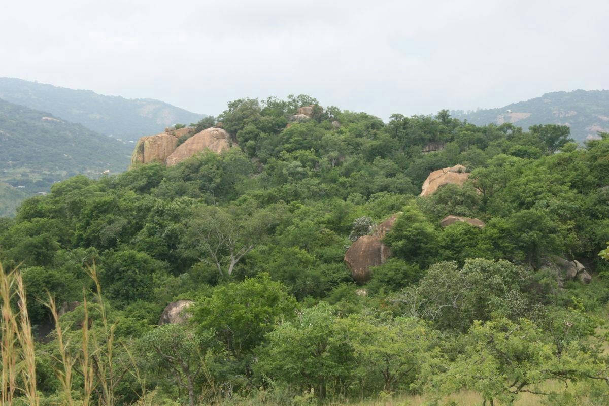 8.9 hectare vacant land for sale in Nelspruit (Mbombela)