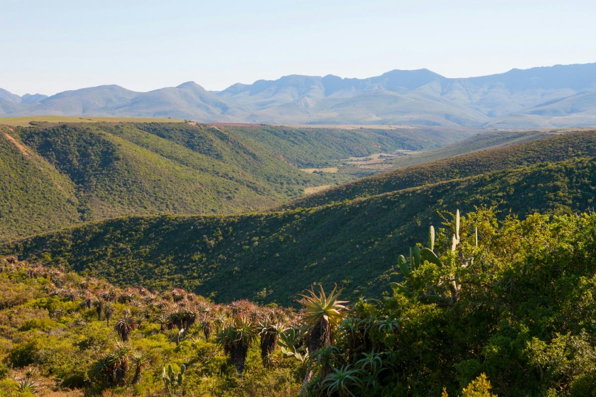 460 hectare Mixed Use Farm For Sale Herbertsdale 1MB1309906 Pam