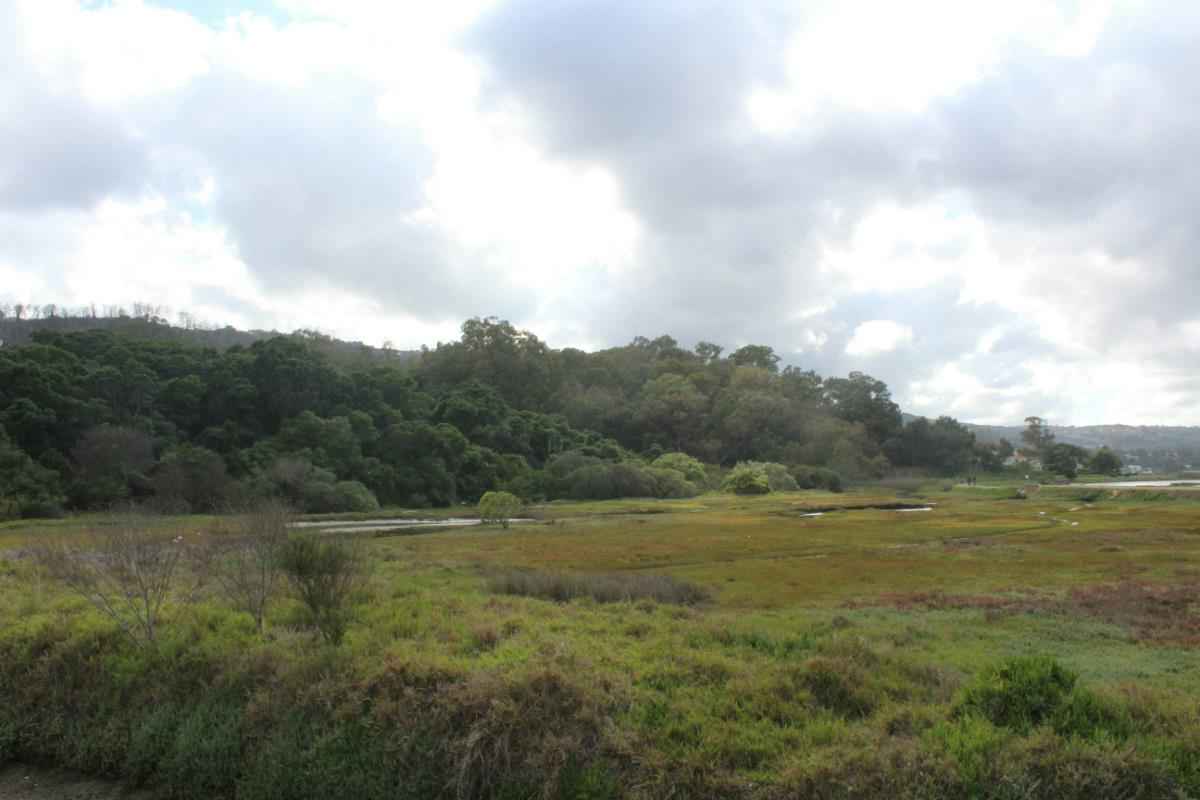 4.4 hectare Commercial Vacant Land For Sale Knysna Central