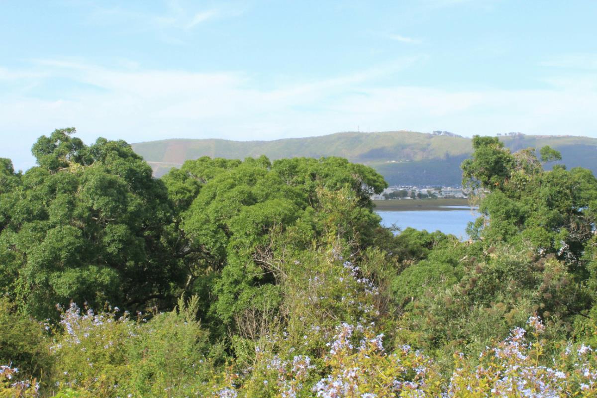 4.4 hectare commercial vacant land for sale in Knysna Central