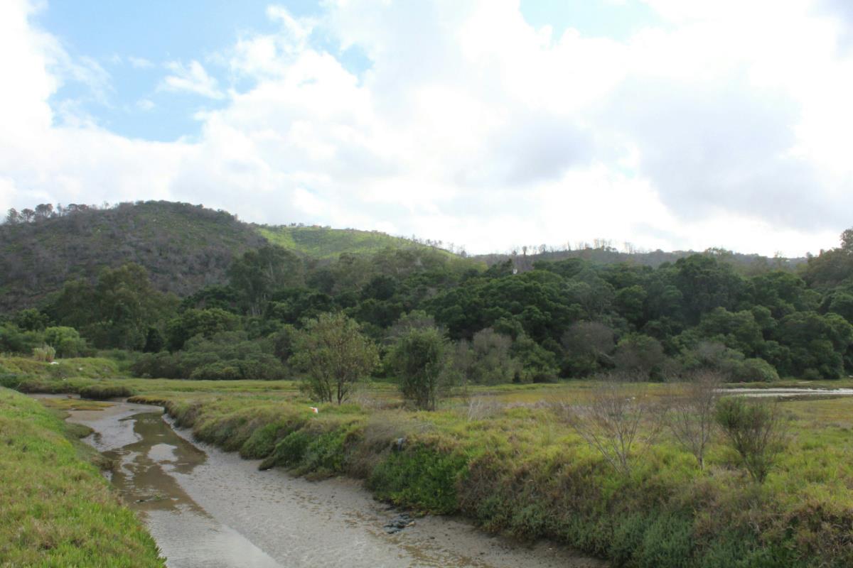 4.4 hectare Commercial Vacant Land For Sale Knysna Central